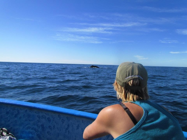 Vistas desde la lancha